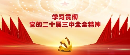 ���Ķ�ʮ��������ίԱ�������ȫ��ۻ�