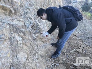������(918)�ٷ���վ - ���������